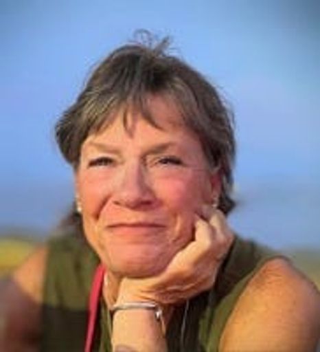 Lou Ann Hadlock